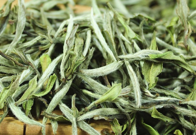 春天到了,来一场白牡丹之约吧! 春天到了,来一场白牡丹之约吧!