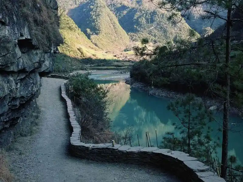 茶马古道：茶与贸易的历史纽带